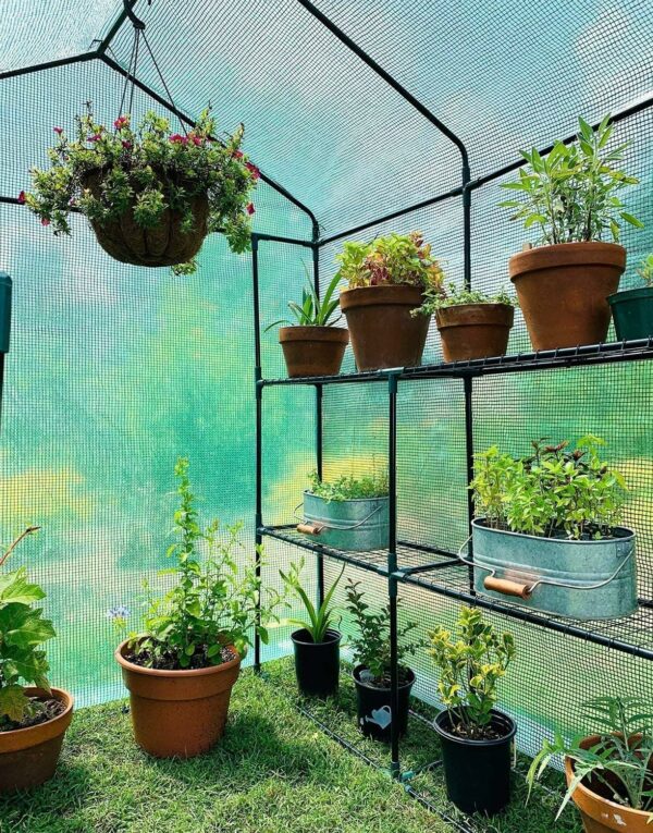 Ohuhu Greenhouse for Outdoors with Shelves, Walk in Green House Plant Growhouse with Heavy Duty Cover, 3 Tiers 12 Shelves Plastic Greenhouse with Ground Pegs & Ropes for Stability 143x143x195 cm