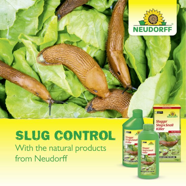 Neudorff Sluggo Slug & Snail Killer – Effective slug control against slugs and snails. No slime traces and no visible dead slugs. For 200 m², 1 kg, Green