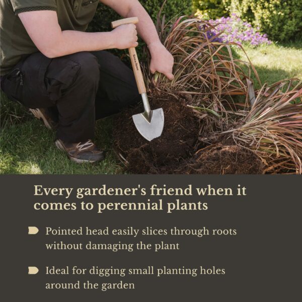 Kent & Stowe Stainless Steel Perennial Spade, Pointed Head Garden Spade for Easy Slicing Through Roots, All Year Round Garden Tools Made from Stainless Steel and Ash Wood
