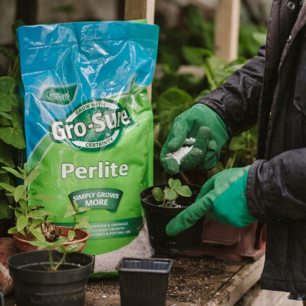 Gro-Sure Perlite, 10 L