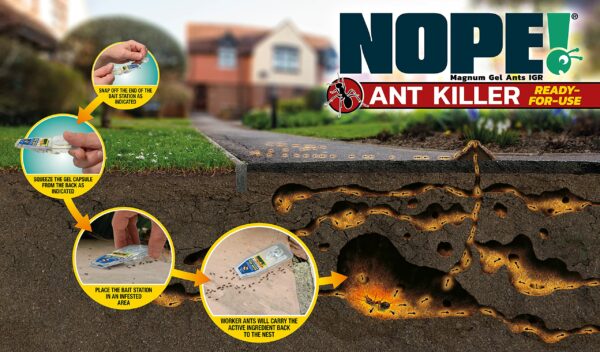 NOPE! Ant Killer Bait Station (6 x 5g) Indoor & Outdoor. Eradicates Ants and their Colony & Nest