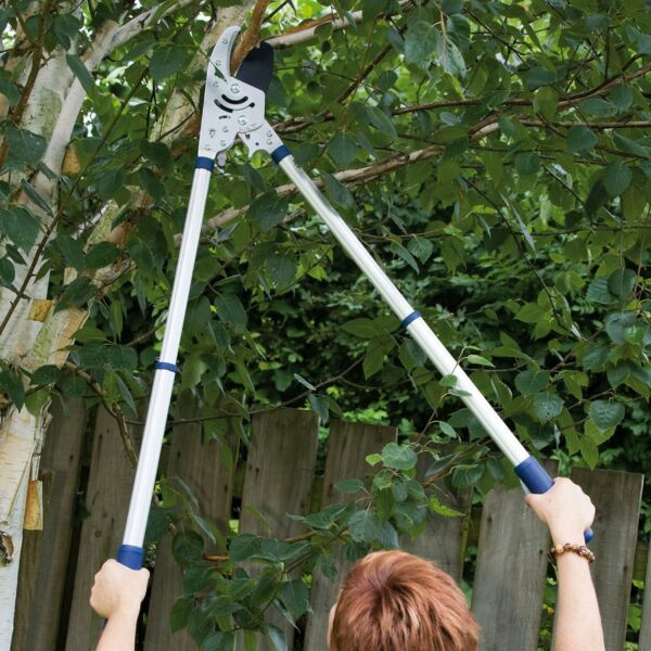Spear & Jackson 8290RS Razorsharp Advance Heavy Duty Telescopic Ratchet Anvil Lopper