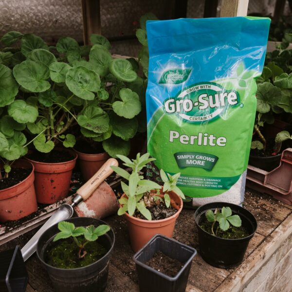 Gro-Sure Perlite, 10 L