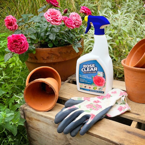 ROSECLEAR 3 in 1 Ready to Use Plant Protection For Aphids, 800 ml, White