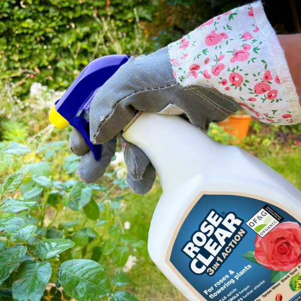 ROSECLEAR 3 in 1 Ready to Use Plant Protection For Aphids, 800 ml, White