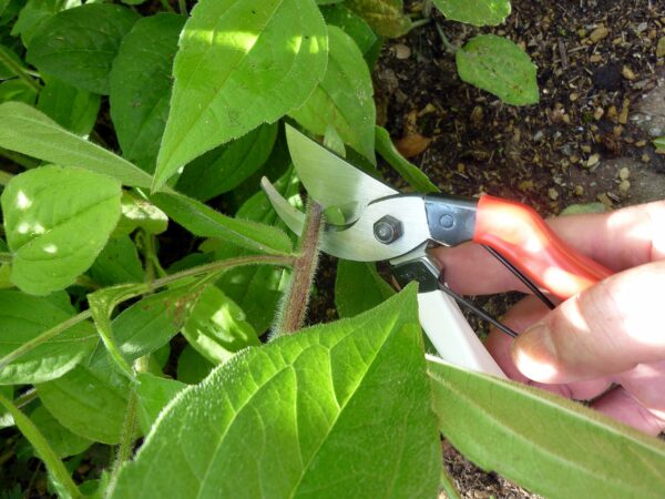 Okatsune Pruning Shears, 101 Gartenschere, klein, multicoloured
